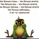 ���� (( ������ )), ������ ��������, 67 ��� - ��������� 9 �������� 2017 � ������ �������� ��������.�