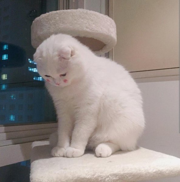 ����� � ������� � ����� �������� � ������� ���������