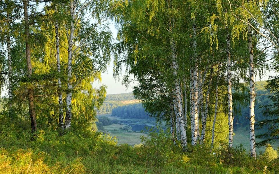 Картинки родные места