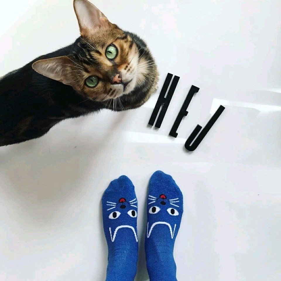     - 8