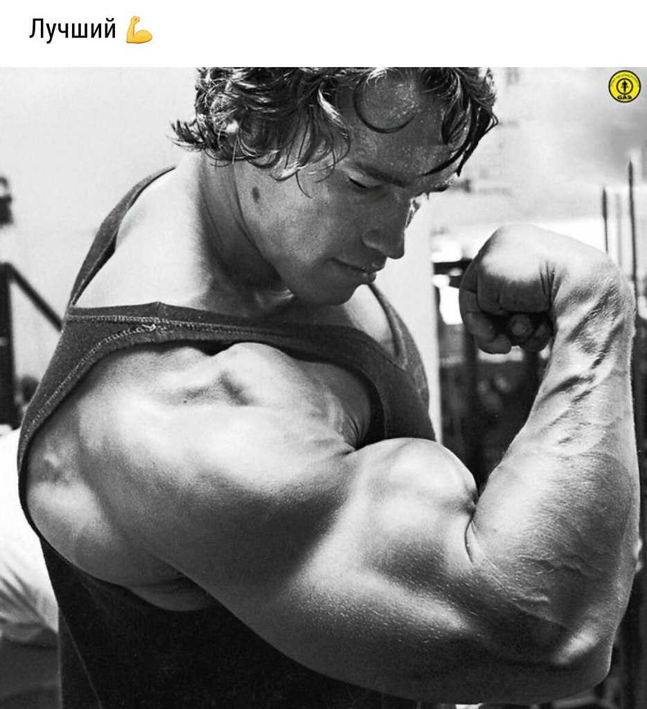  -   - 28  2017  17:06