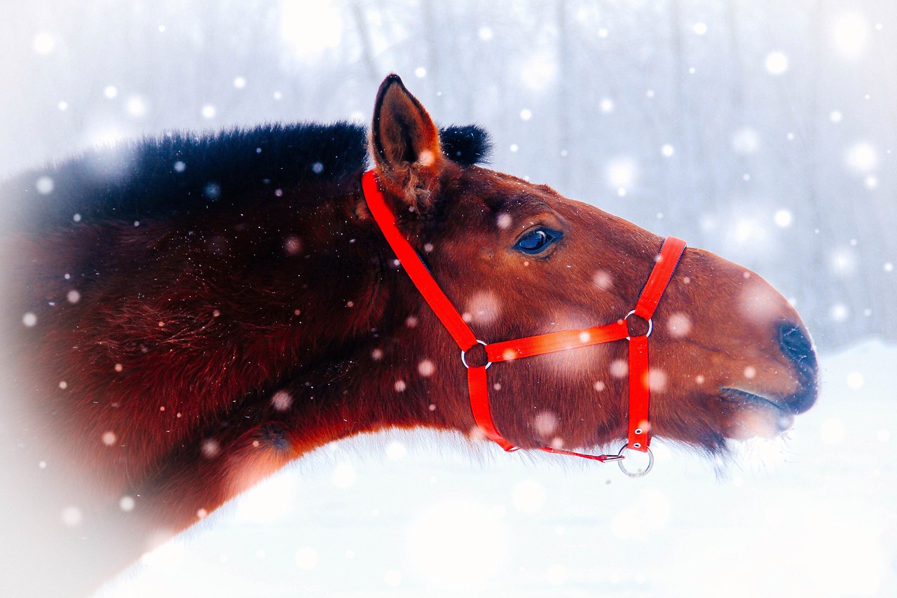  -   ! - 14  2017  19:37