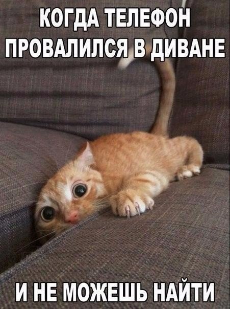   - 11  2017  08:47