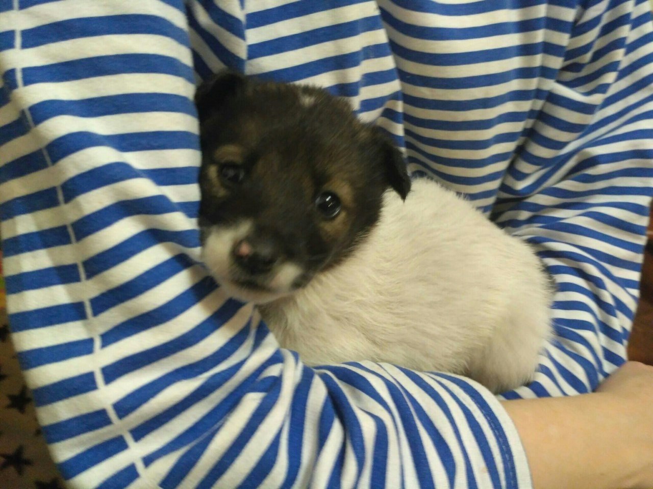 ..  !!!         .   ...