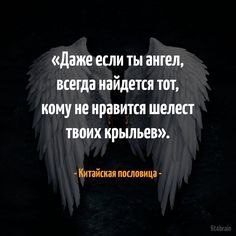      - 8  2017  07:38