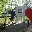  , , 41  -  22  2017   2017