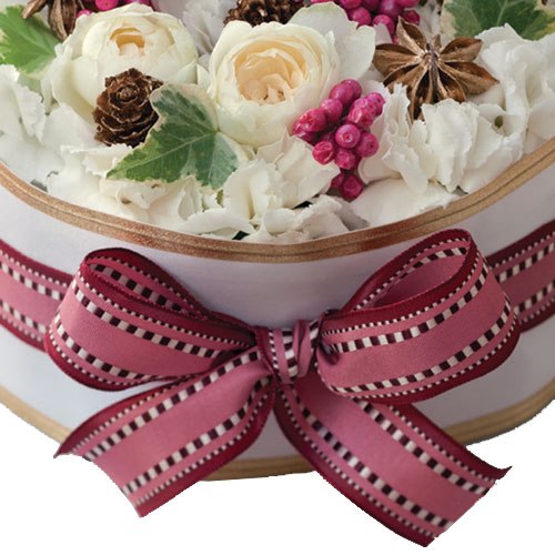     !!!  ,   ...   ...   ...