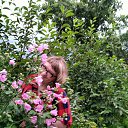   ))), , 49  -  1  2017    