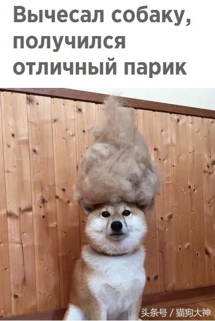  - 23  2017  13:02