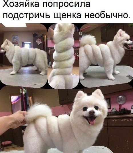   :    - 6  2017  07:32