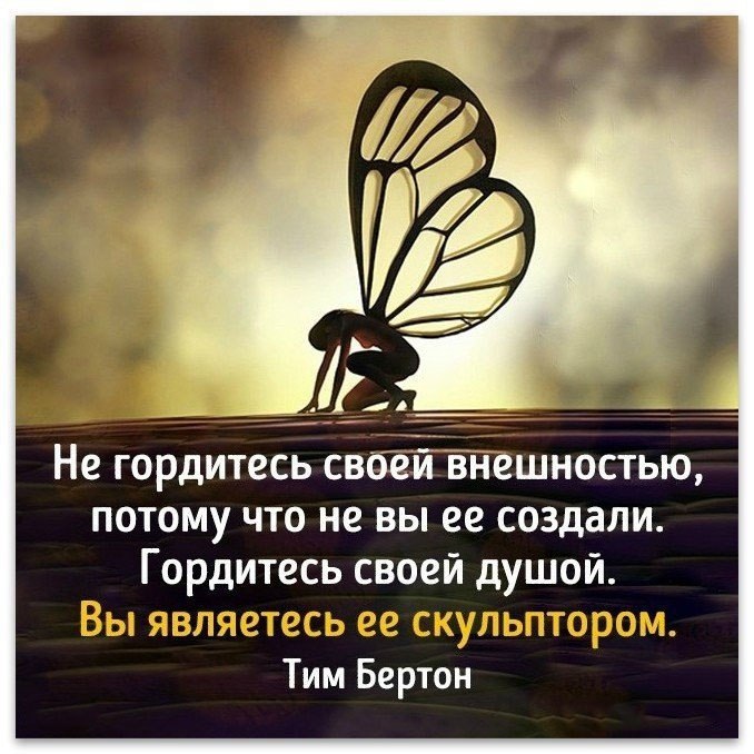    - 15  2017  16:20