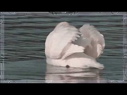��� �� ������� � �� �� ��������?� ������� ������ �� ������?� � ����-�� ����� ���������?� � ������� ��������� ����?�� ����� � ������ ��� ��������� ����� �� ���������� ������?������ ������