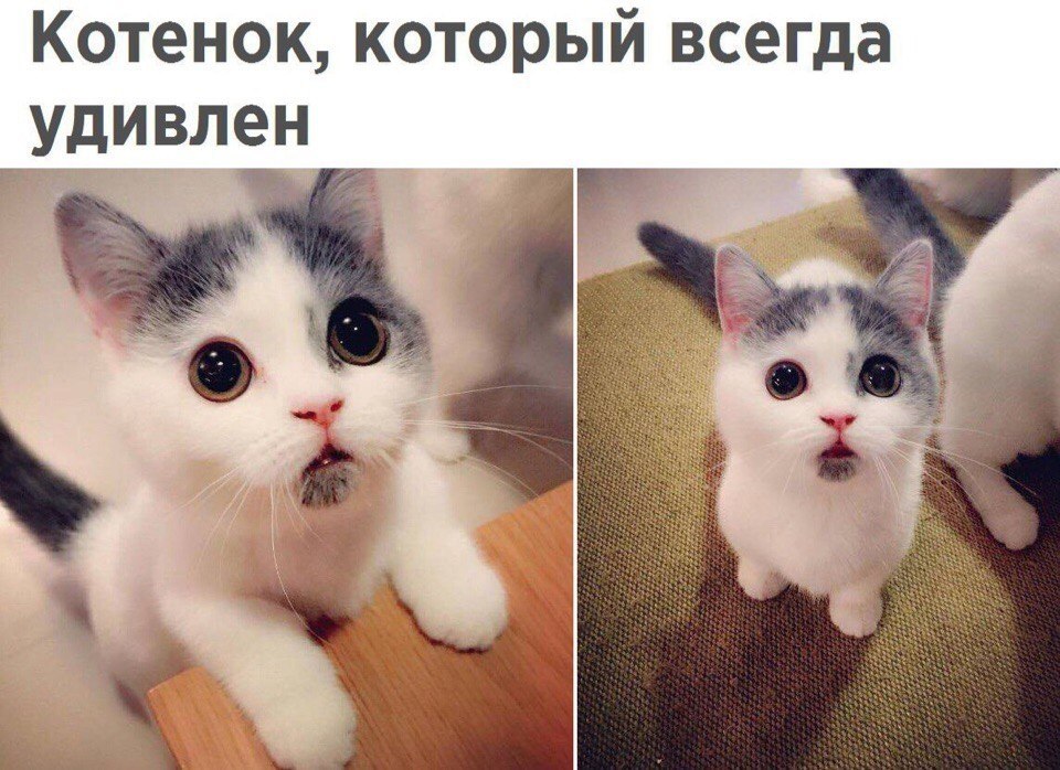       - 2  2017  09:13