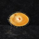 ���� ������, �����-��������� - ��������� 25 ������ 2017 � ������ �����������