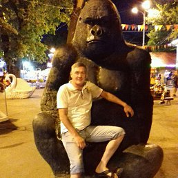 ���� �������� 