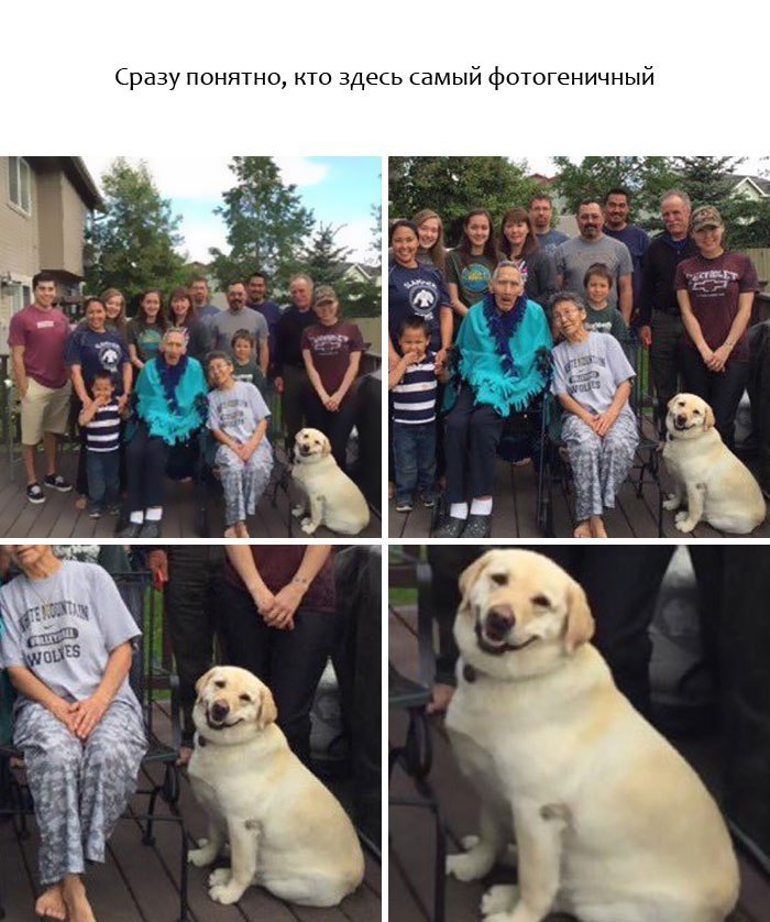 9  ,      . - 9