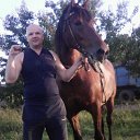 ���� ������, �����, 45 ��� - ��������� 5 ���� 2017 � ������ ���� ����������