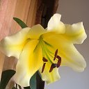 ���� �������, ������, 54 ���� - ��������� 3 ������� 2017 � ������ ���� ����������