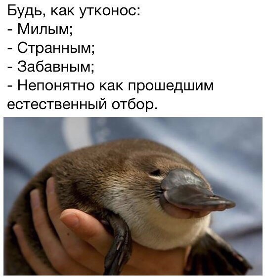    - 29  2017  20:52