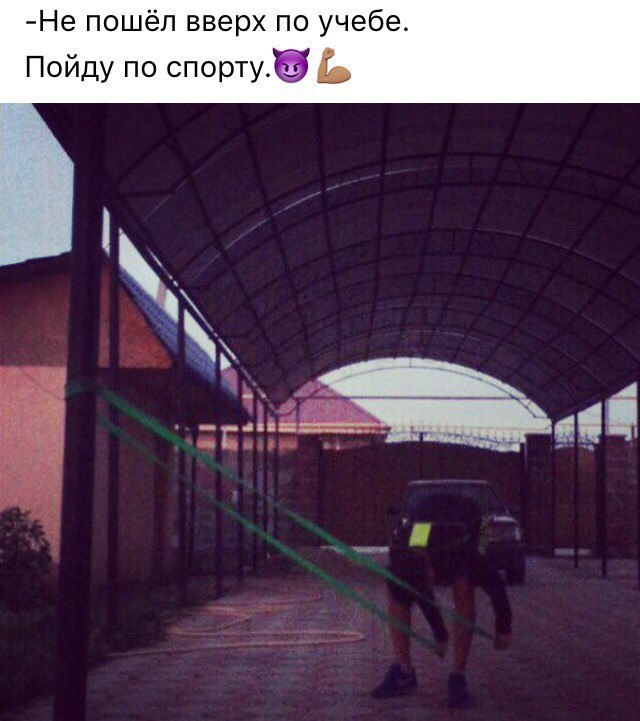  -   - 3  2017  15:08