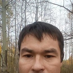 ��������, �����, 45 ���