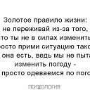 ���� �����, �����-���������, 79 ��� - ��������� 23 ���� 2017 � ������ ������ ��������