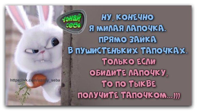 ♥♥♥♥ - 20  2017  01:27