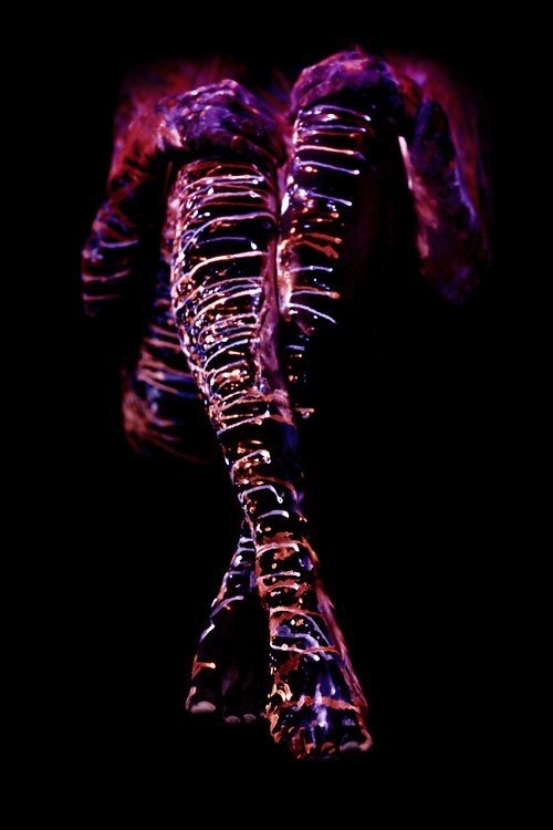 ����� ���������� �������� �����.�������� John Poppleton - 2
