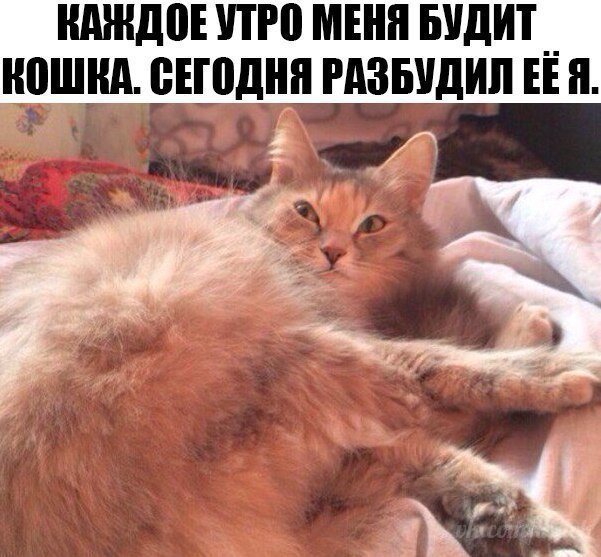  - 25  2017  04:00