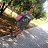 ���� ������, ������, 54 ���� - ��������� 16 ���� 2017