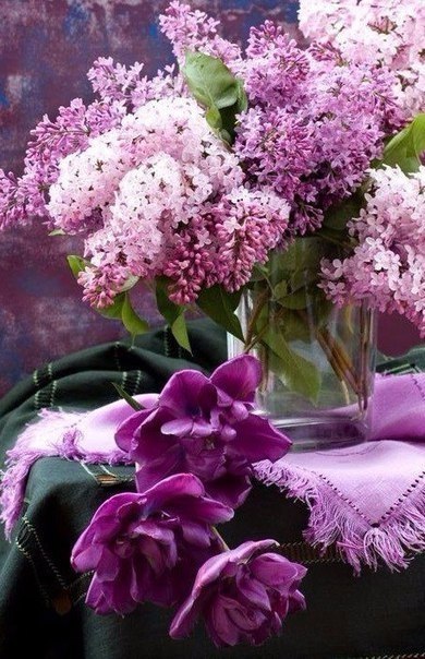    - 13  2017  20:15 - 3