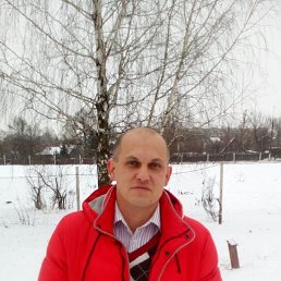, 43 , 