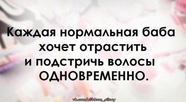 ������� �������, ����� �������.&copy; - 14 ���� 2017 � 11:09