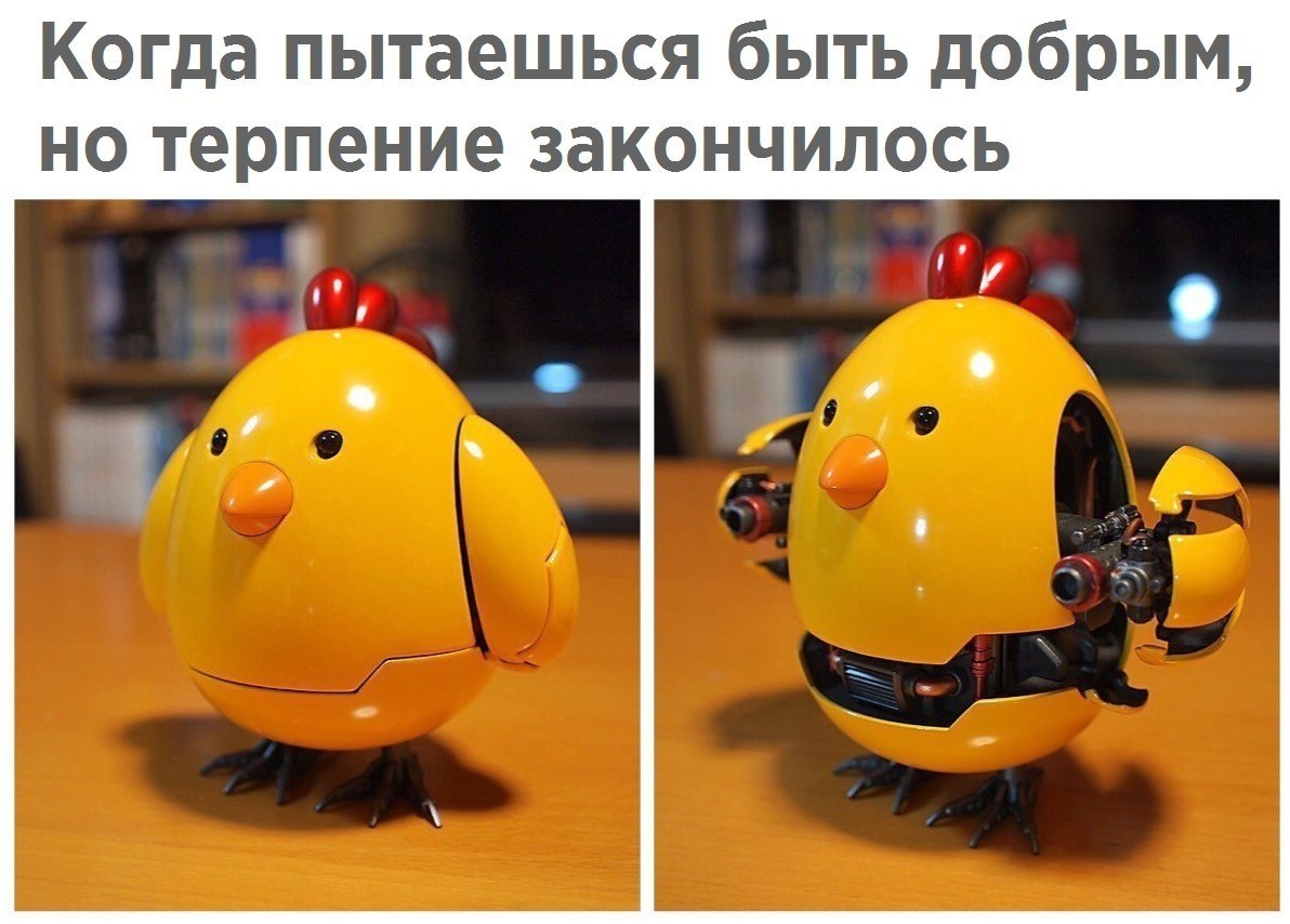  - 10  2017  10:54