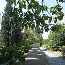  , , 60  -  6  2017   , , ,06.08.17.