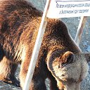 ���� ������, �����-��������� - ��������� 25 ������ 2017 � ������ ���� ����������