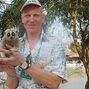 ������� 2015 �. �� ������� ���� ����������