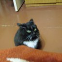 &quot;       &quot;.    