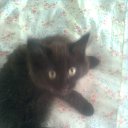 ---      . -  -,  .    .