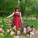 ���� �������, ����� - ��������� 17 ���� 2017 � ������ ���� ����������