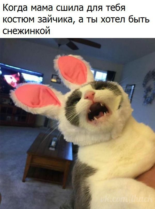 - 20  2017  17:37