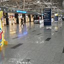 ������� �.�-����� 16.04.2017. �� ������� �������.��������.��������.�