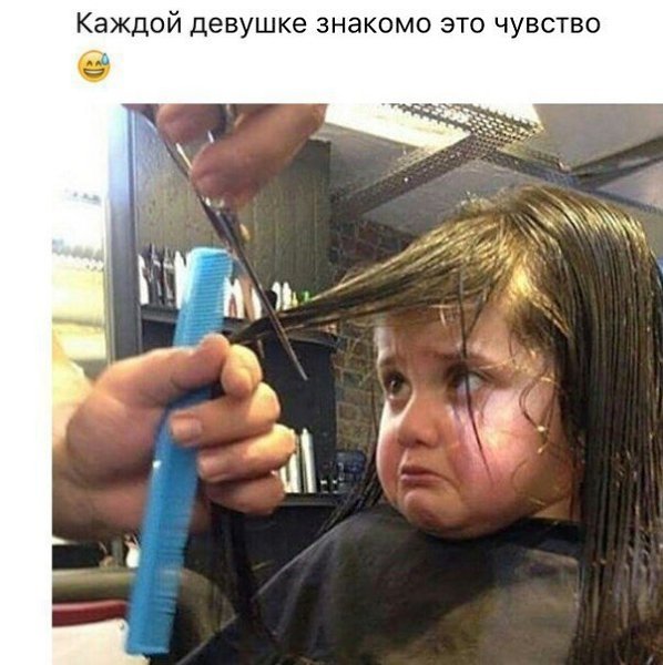  |  2016 |  |  |  - 17  2017  14:17