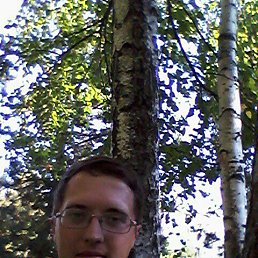 ���� ����, ���������, 33 ���� - ��������� 16 ������ 2017