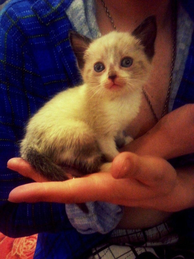 #_.                 ...