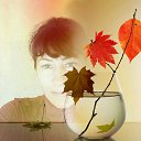 ���� �������, ������, 54 ���� - ��������� 23 �������� 2017 � ������ ���� ����������