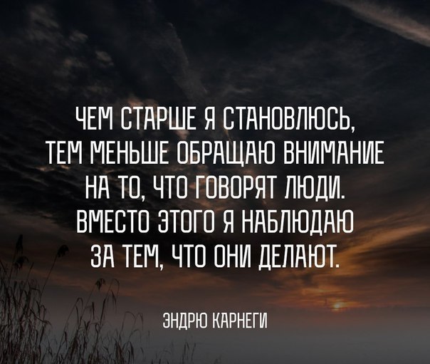    - 5  2017  12:36