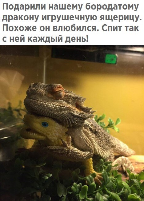   - 2  2017  12:57