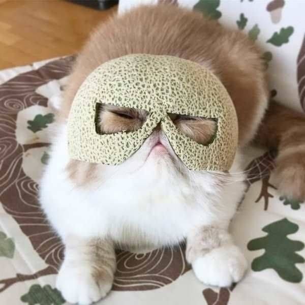 ,  