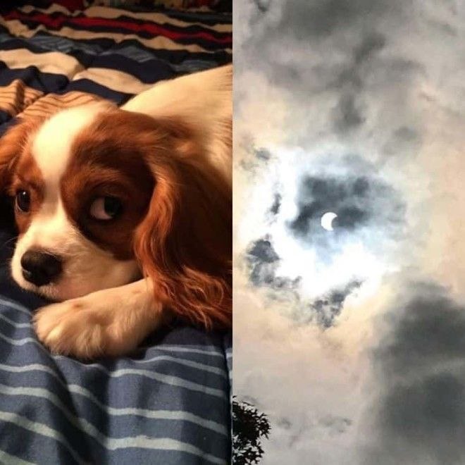    , ,       ,  ... - 10